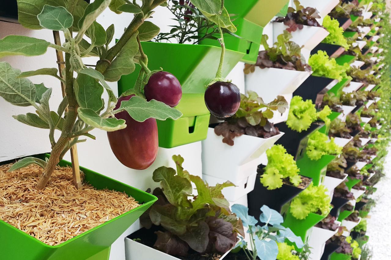 Biohotel Organic Suites Bogota Luaran gambar